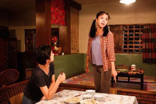 经典国产剧寡妇在线播放,揭秘民国风云中的传奇女性传奇人生