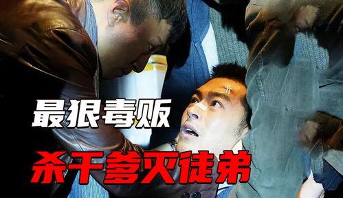 国产最狠警匪片在线观看,惊心动魄的正义之战！