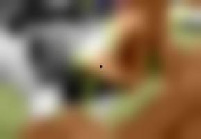 在线国产欧美观看,在线国产欧美影视资源一网打尽