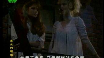 国产3p在线69,揭秘国内热门影视平台背后的故事